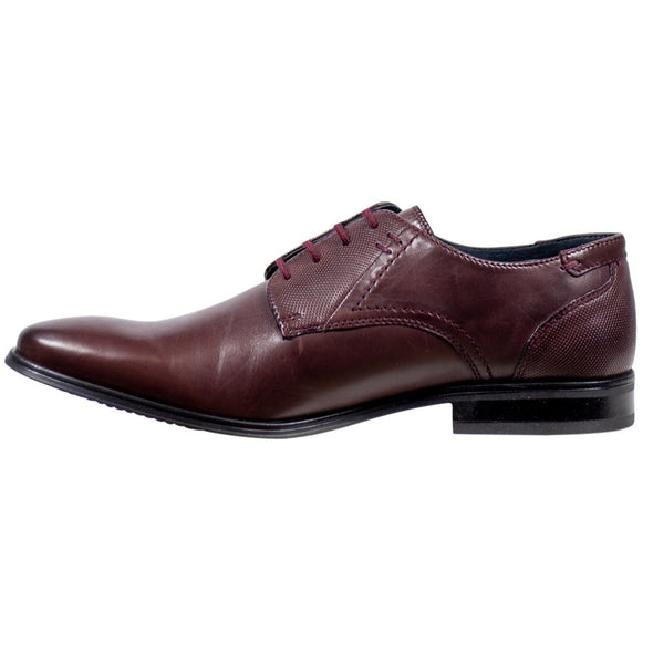Dubarry Drago 4875 Plum