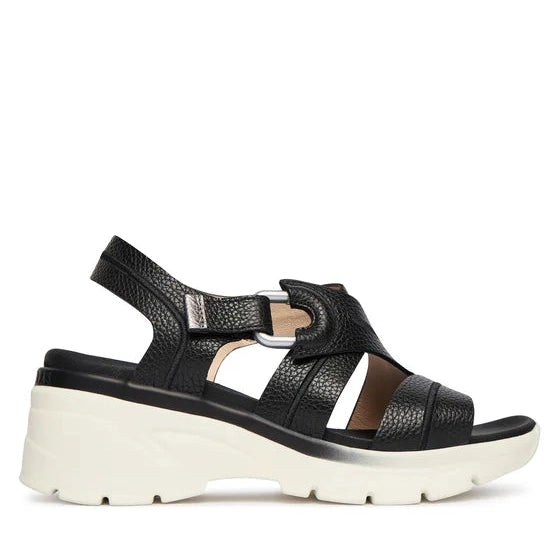 Hispanitas Bolero - V26 Black Ladies Fashion Sandals HV264570 Black