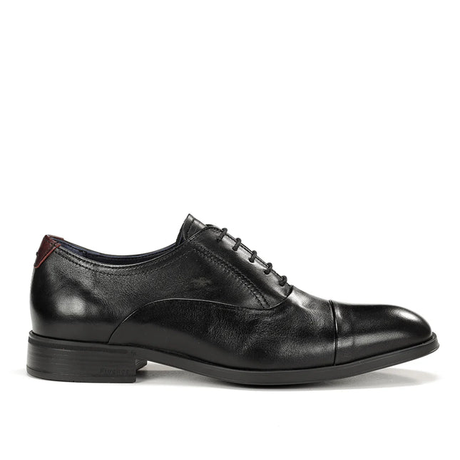 Fluchos Asgard F1885 Black