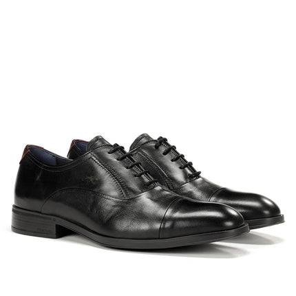 Fluchos Asgard F1885 Black