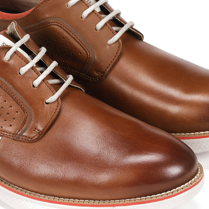 Fluchos William F1435 Brown