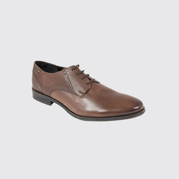 Dubarry Drago 4875 Brown