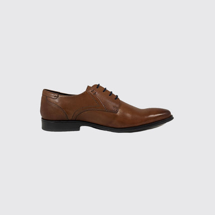 Dubarry Drago 4875 Tan