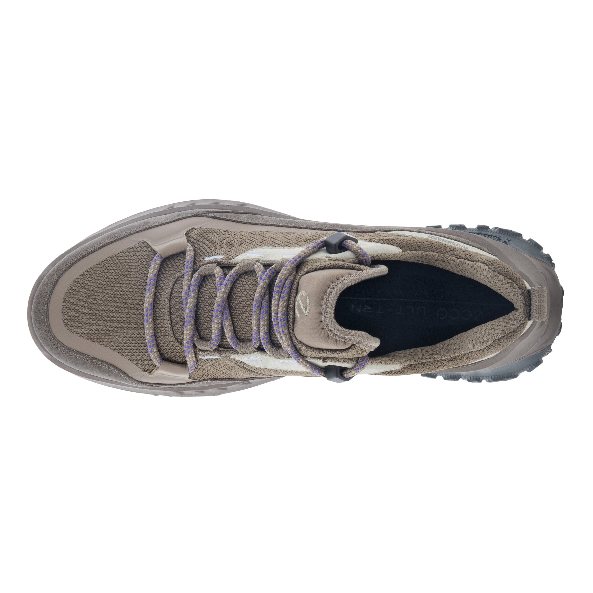 Ecco england shop