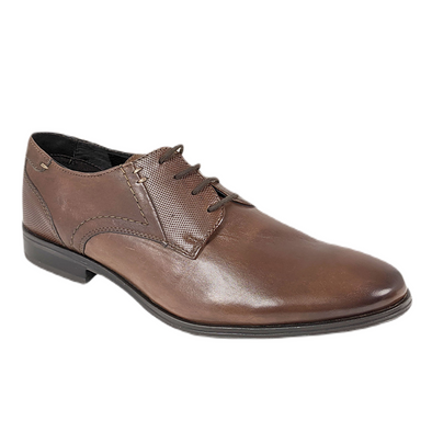 Dubarry Drago 4875 Brown